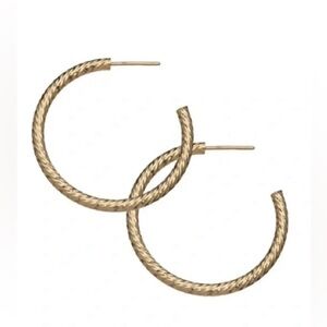 JENNIFER ZEUNER 14k Yollow Gold Plated Sterling Silver Hoop Earrings